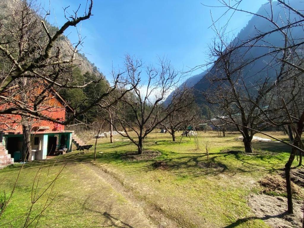 The Royal Orchard Kasol Hotel Екстериор снимка