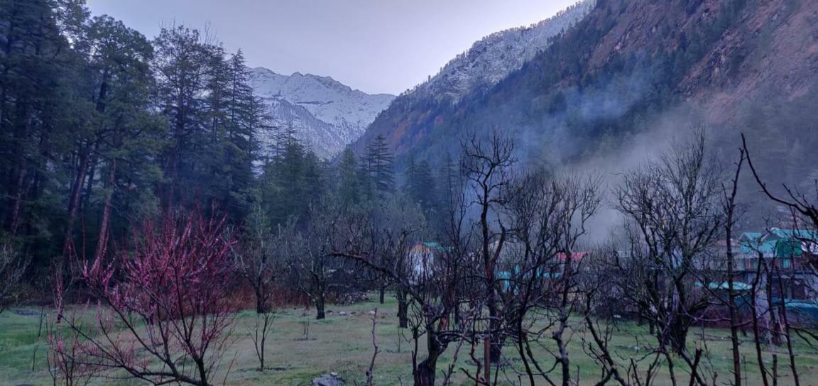 The Royal Orchard Kasol Hotel Екстериор снимка