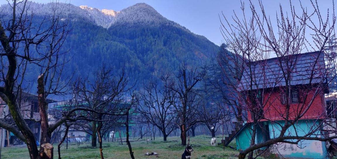 The Royal Orchard Kasol Hotel Екстериор снимка